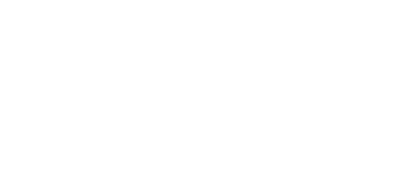 Freight Bridge